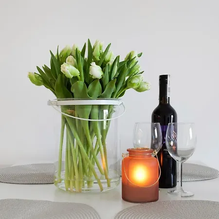 Elite Nadmorski Brzezno Apartment *